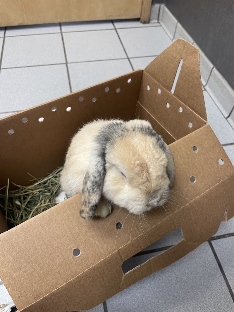 VCA Rancho San Diego Animal Hospital