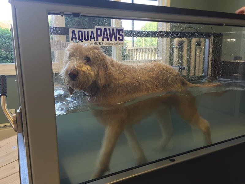 Advanced Veterinary Specialty Center of New England