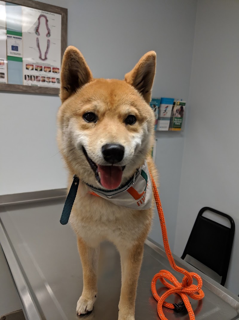 Best Friends Animal Hospital