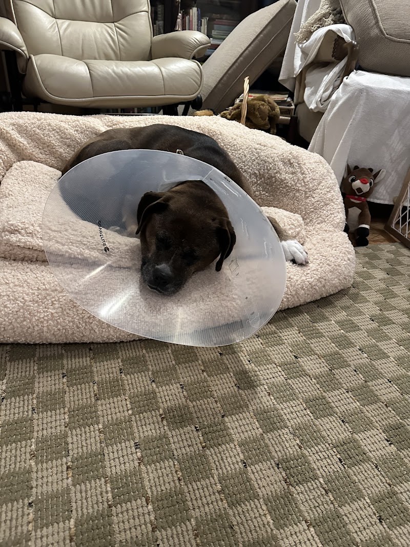 Portland Veterinary Emergency and Specialty Care