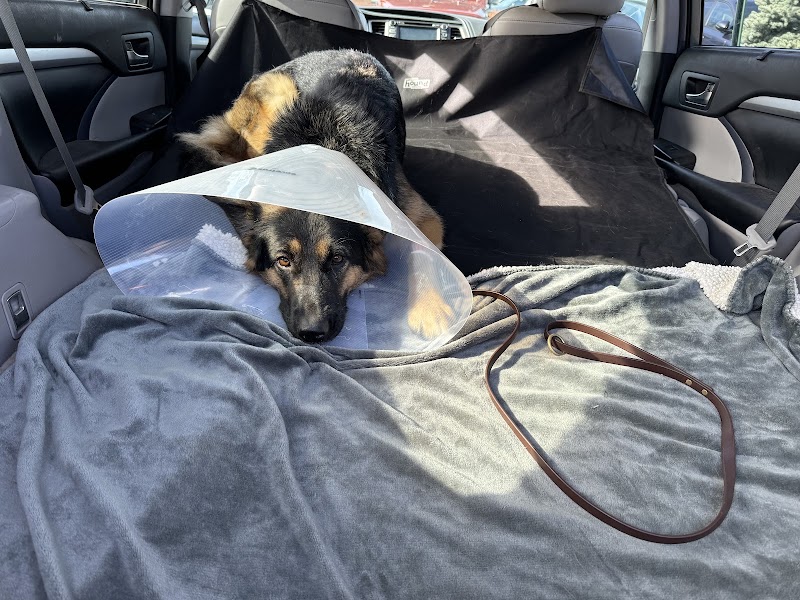 Portland Veterinary Emergency and Specialty Care