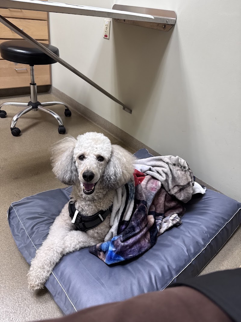 Portland Veterinary Emergency and Specialty Care