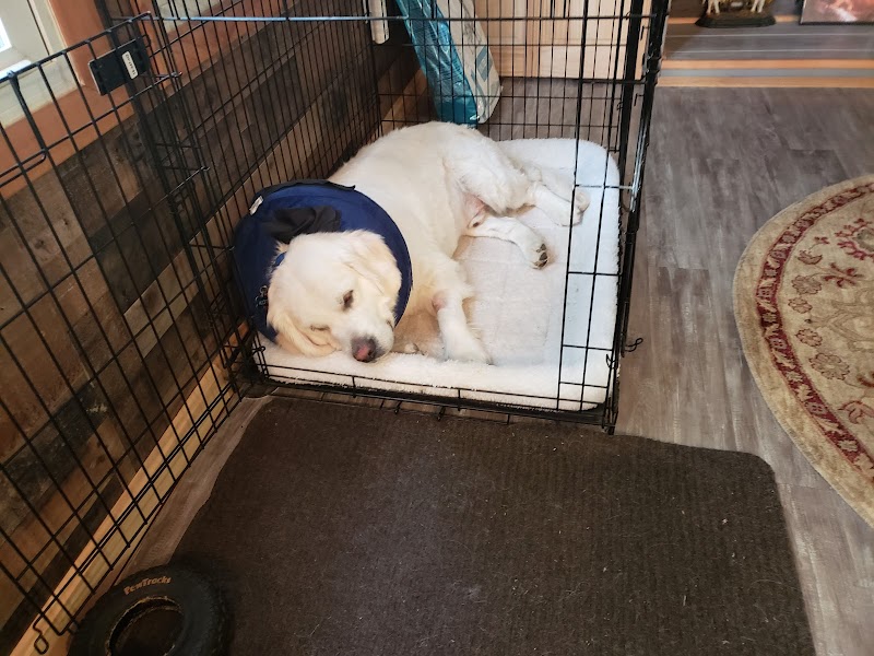 Portland Veterinary Emergency and Specialty Care