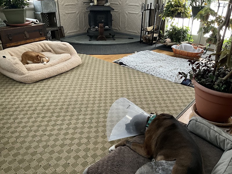 Portland Veterinary Emergency and Specialty Care