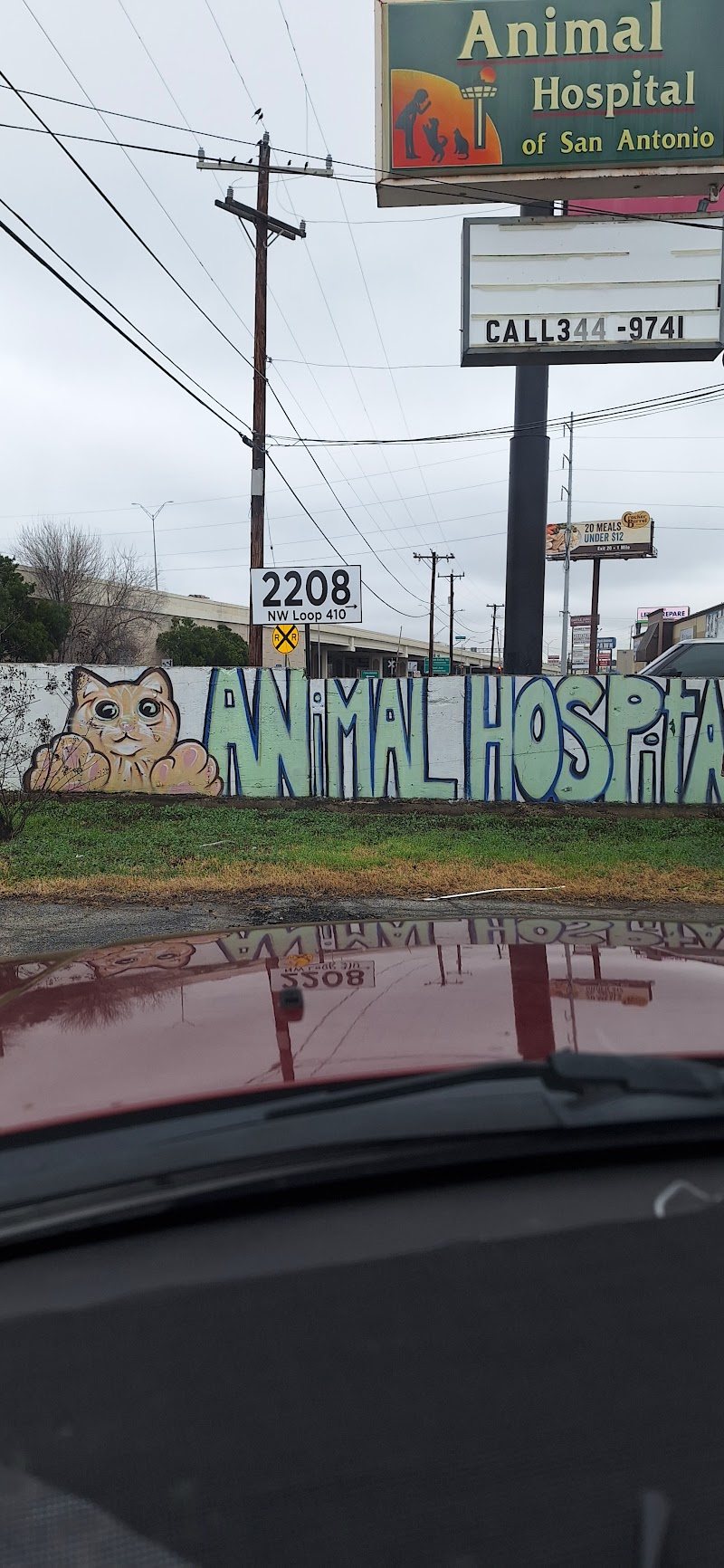 Animal Hospital of San Antonio