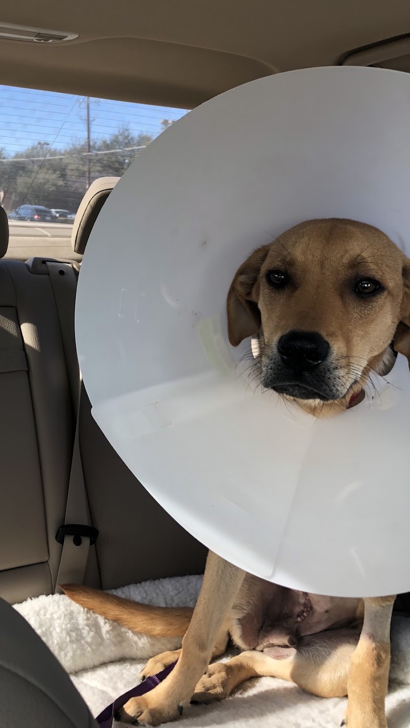 VCA Katy Trail Animal Hospital