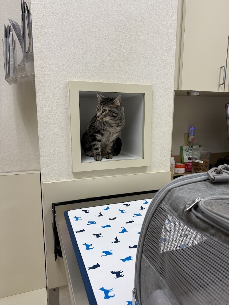 VCA Katy Trail Animal Hospital