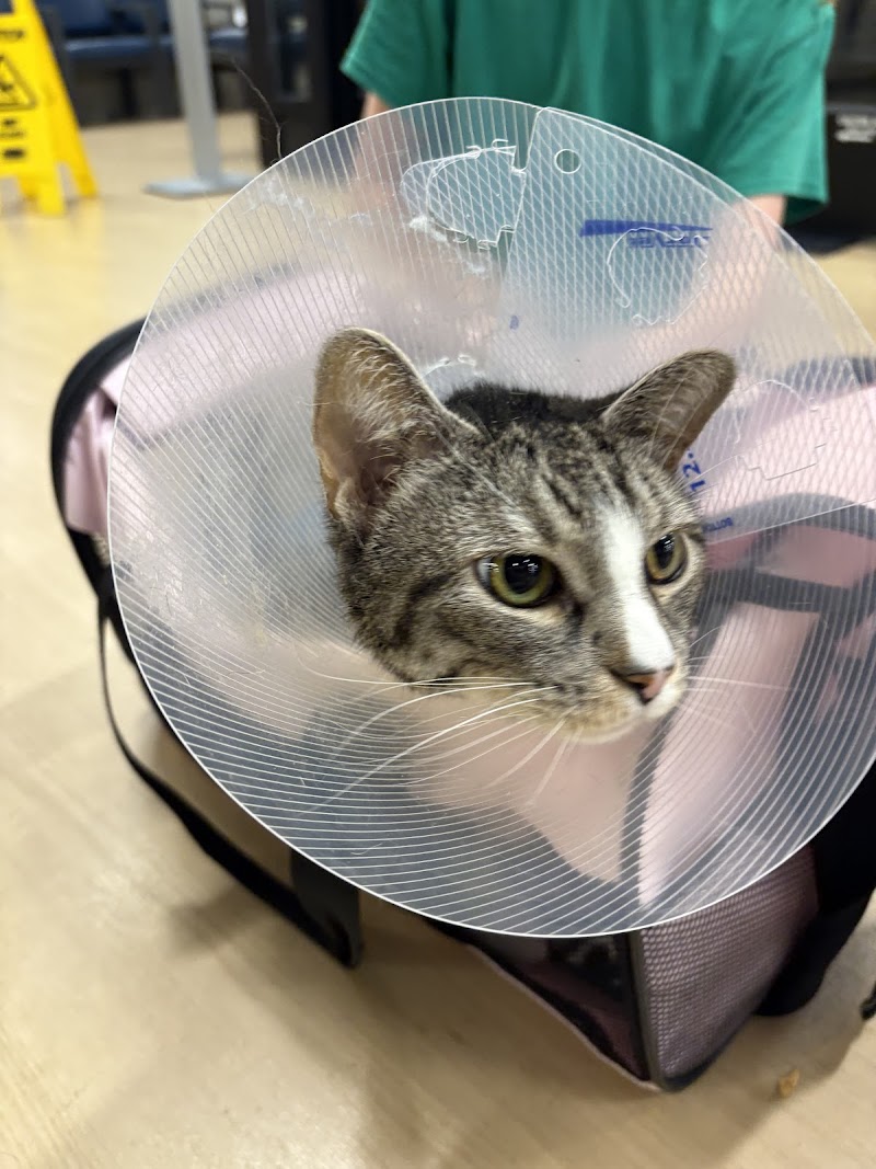 MedVet Chicago