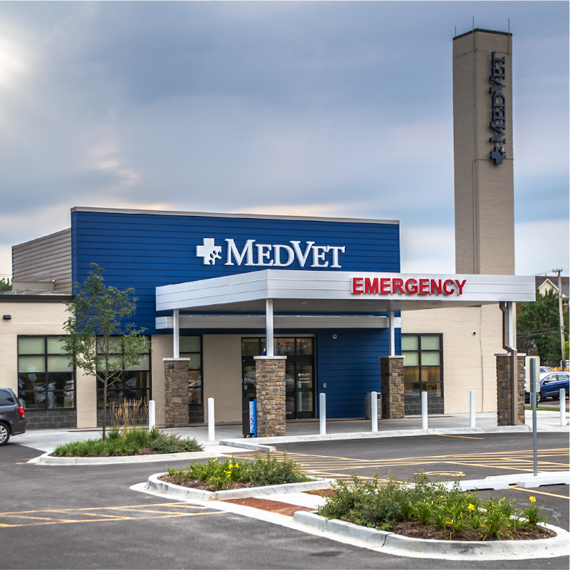 MedVet Chicago - Chicago