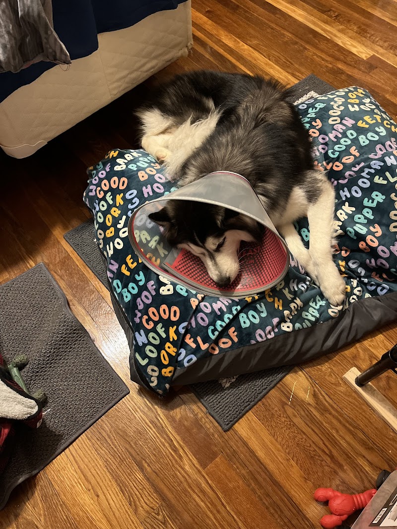 Veterinary Urgent Care Center - Easton