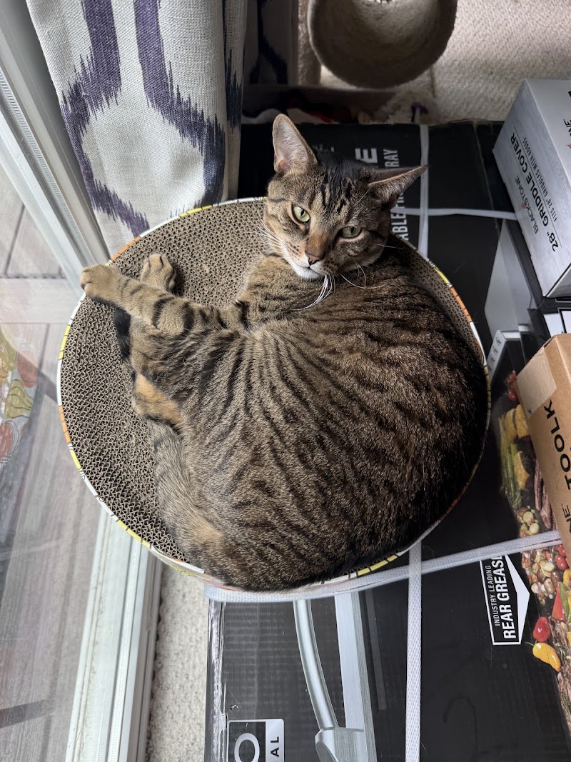 Veterinary Urgent Care Center - Easton