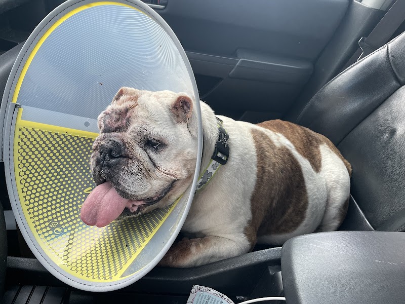 Veterinary Urgent Care Center - Easton