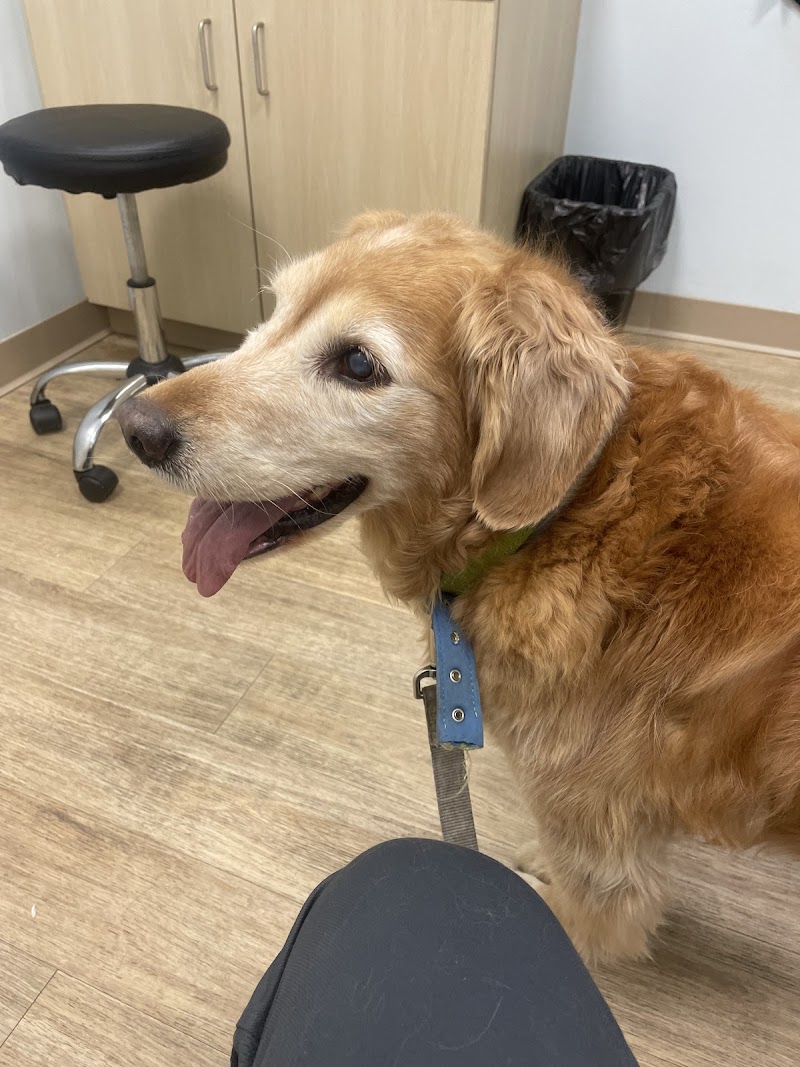 Veterinary Urgent Care Center - Easton