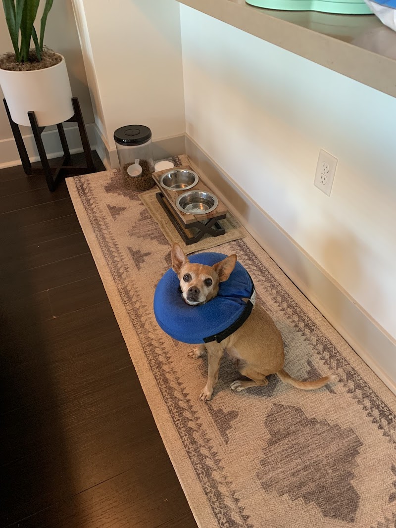 SAGE Veterinary Centers - Campbell