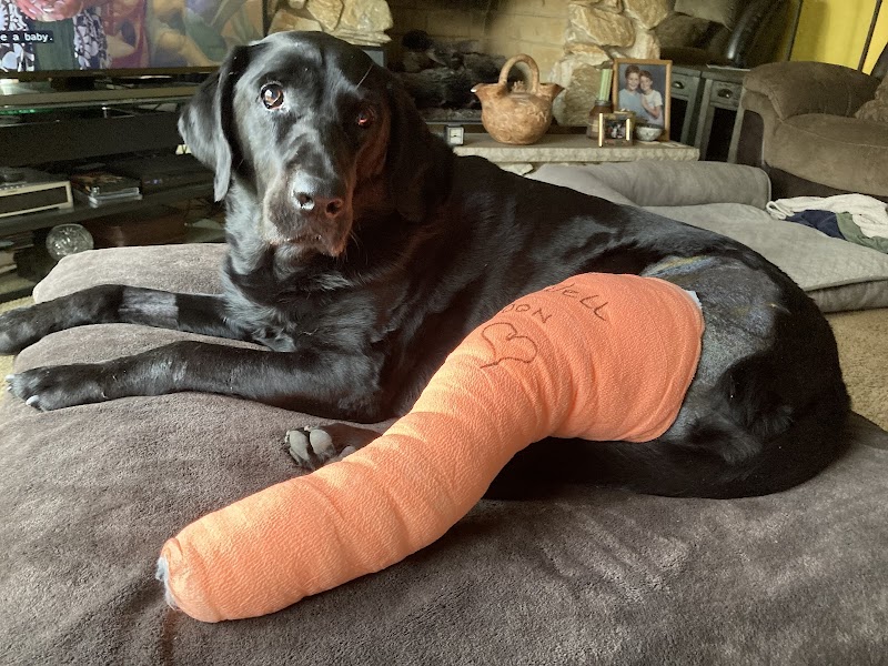 VCA Boone Animal Hospital