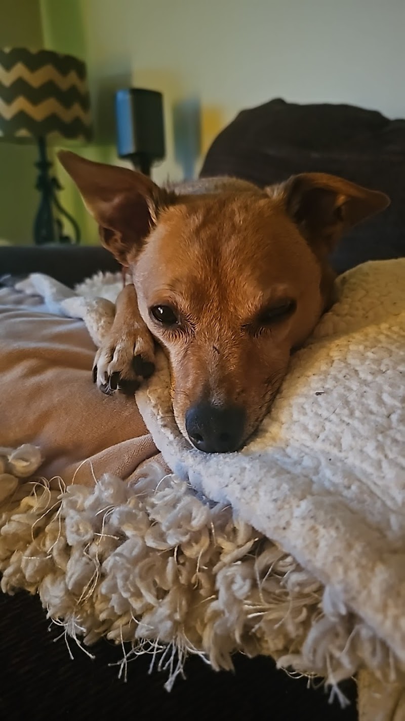 VCA Boone Animal Hospital