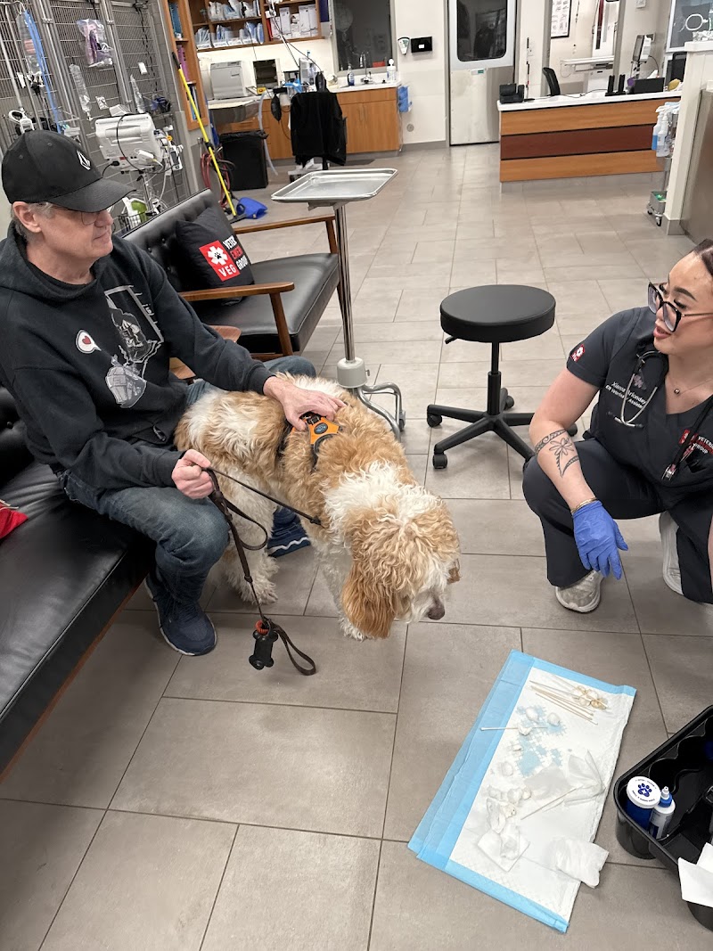 Veterinary Emergency Group