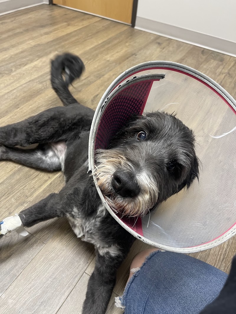 Flower Mound Veterinary Emergency & Specialty Center