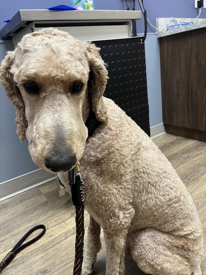 Flower Mound Veterinary Emergency & Specialty Center