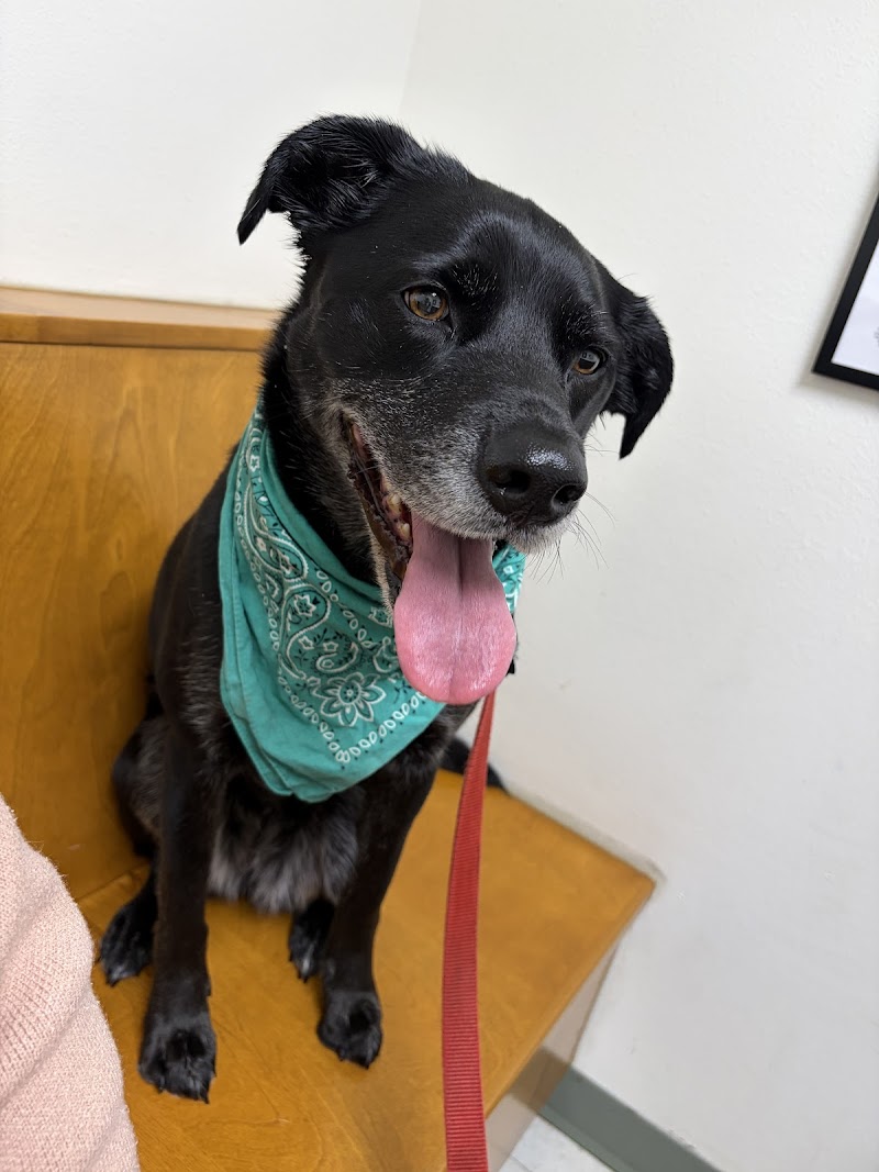 Moreland Veterinary Hospital