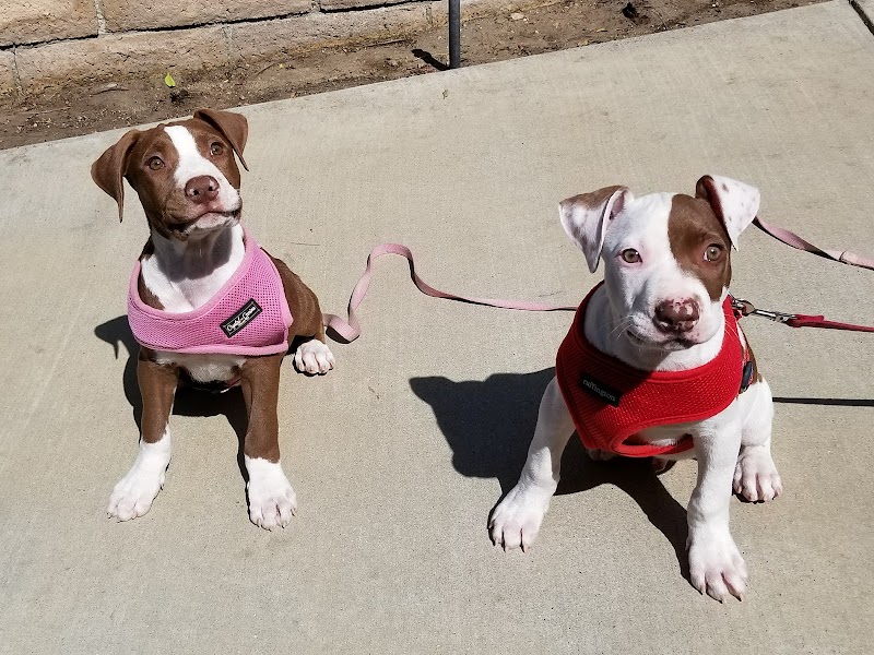 Five Star Veterinary Center