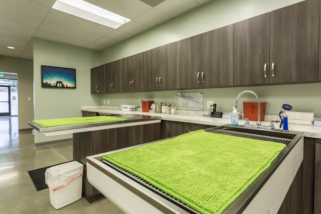 Bridge Animal Referral Center