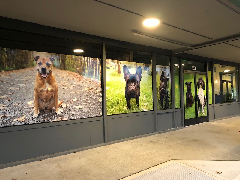 Bridge Animal Referral Center