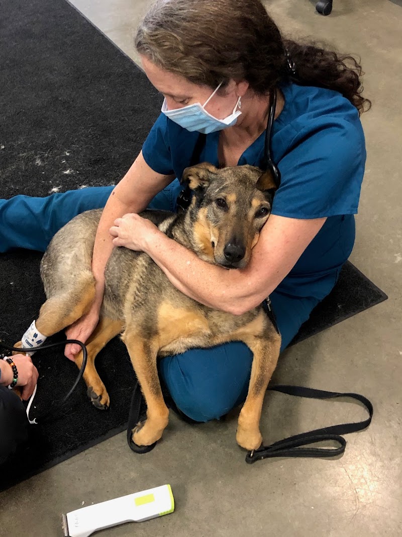 Bridge Animal Referral Center