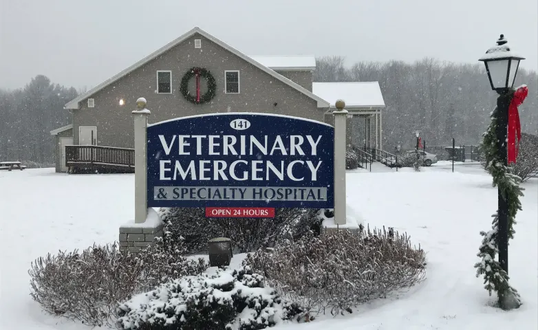 Veterinary Emergency & Specialty Hospital - South Deerfield - Deerfield