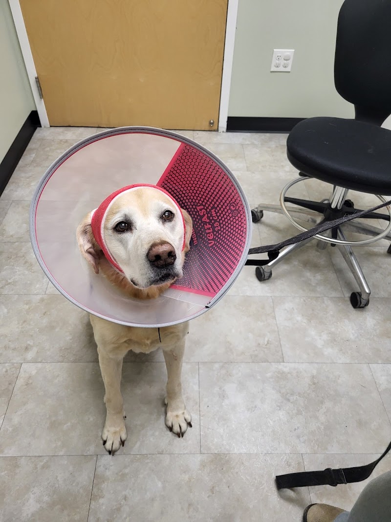 Veterinary Emergency & Specialty Hospital - South Deerfield