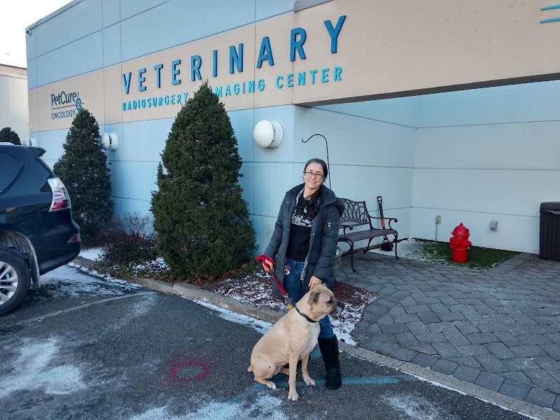 PetCure Oncology Clifton NJ - Advanced Cancer Treatments for Cats & Dogs