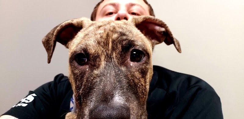 Animal Medical Center