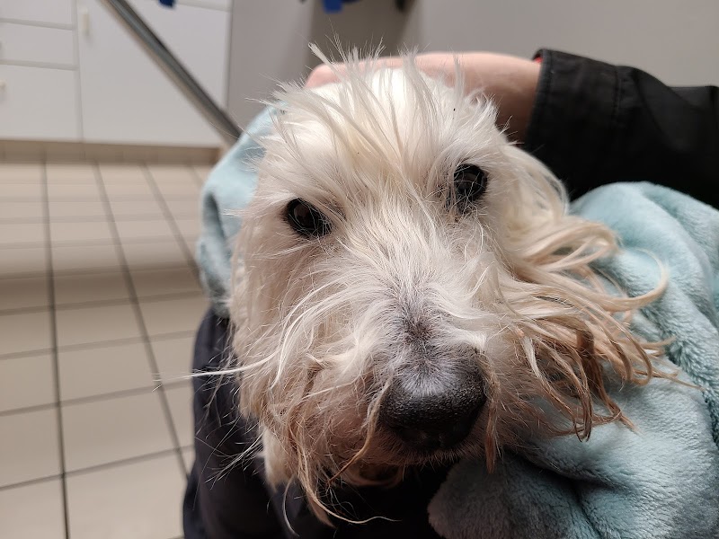 Animal Medical Center