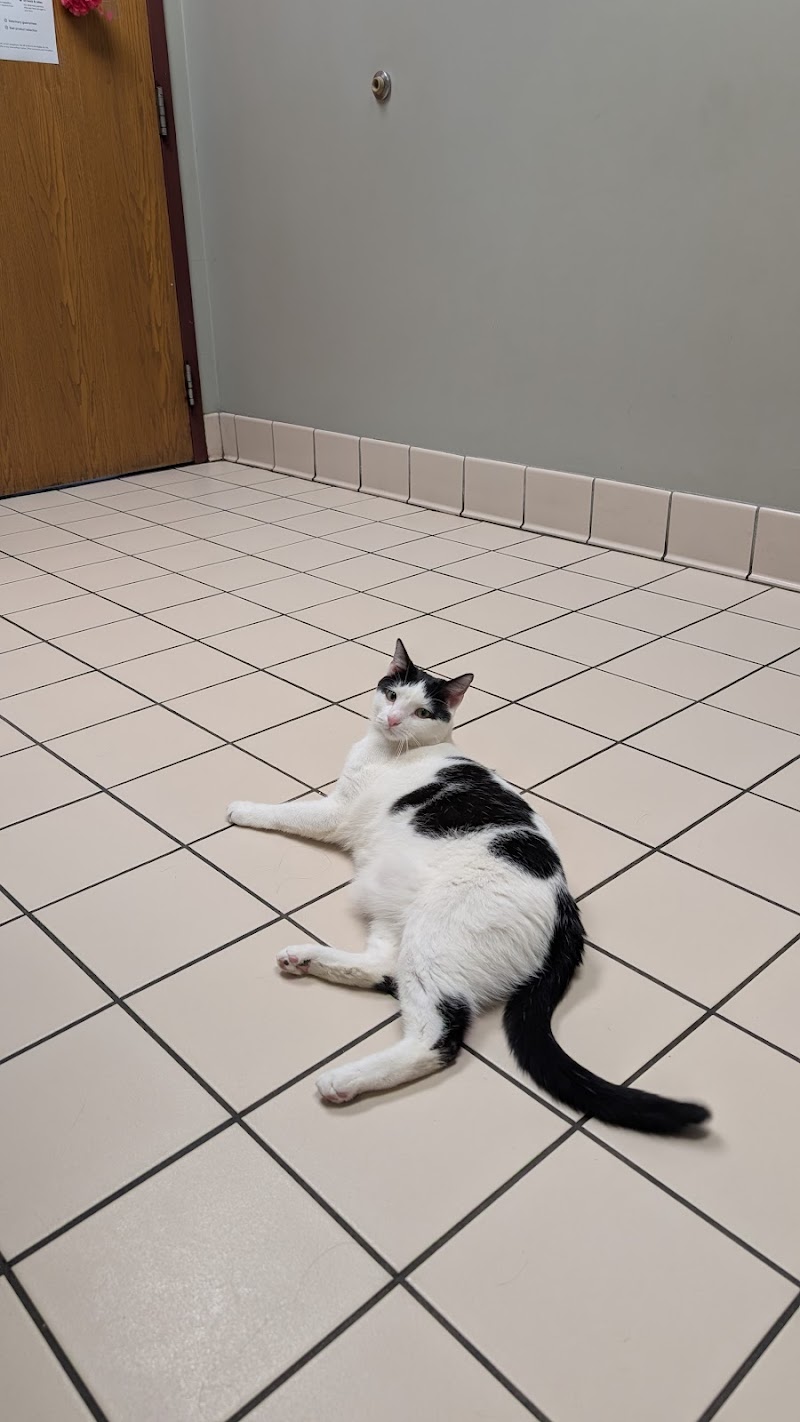 Animal Medical Center