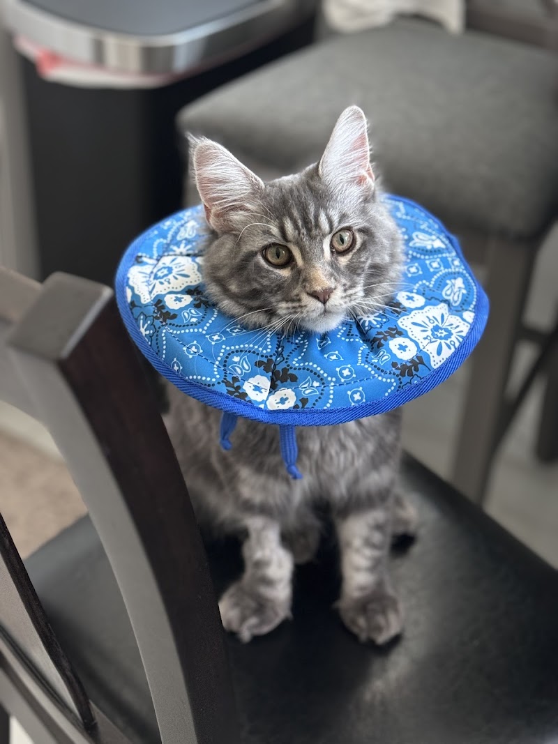 Animal Medical Center