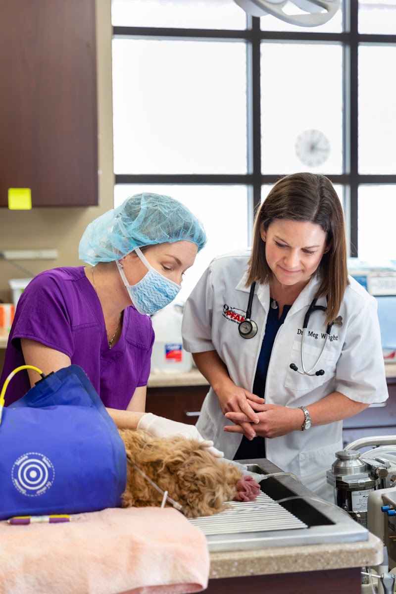 Powers Ferry Animal Hospital