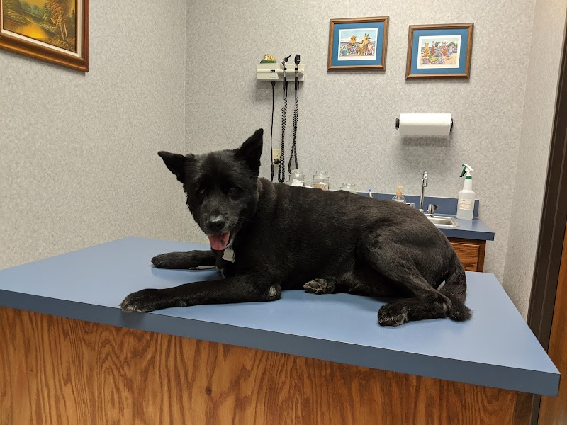 Country Brook Animal Hospital