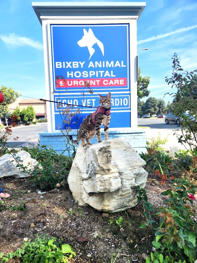Bixby Animal Hospital & Urgent Care