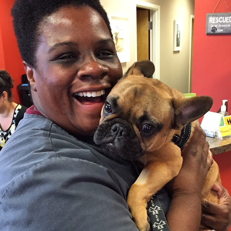 Boston Veterinary Clinic