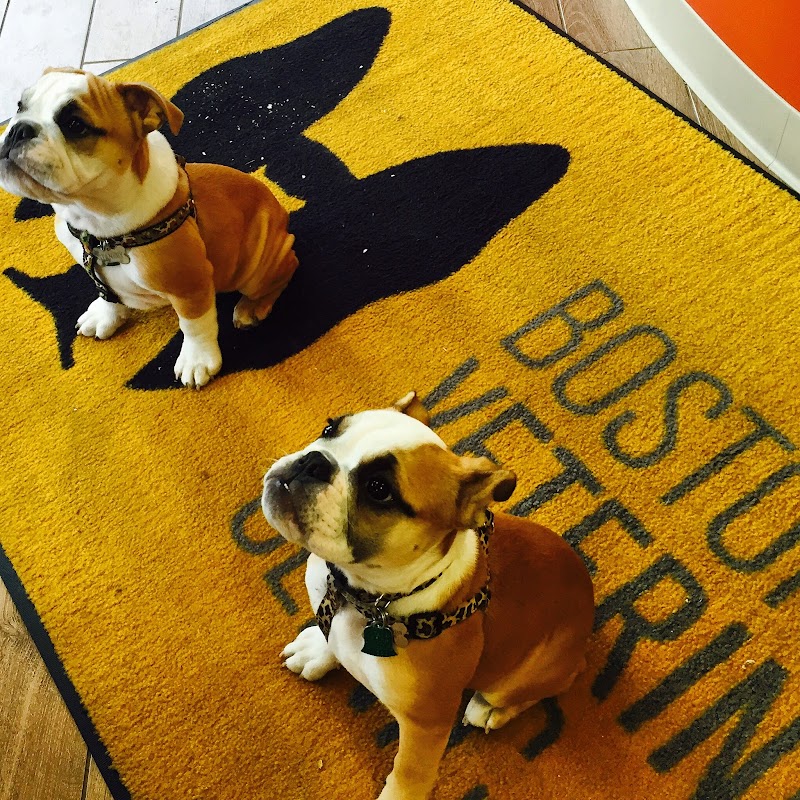 Boston Veterinary Clinic