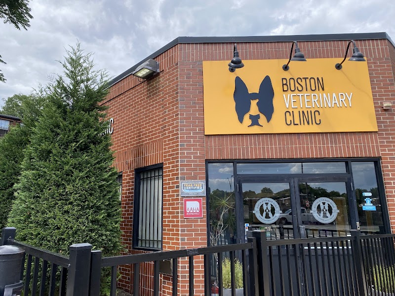 Boston Veterinary Clinic