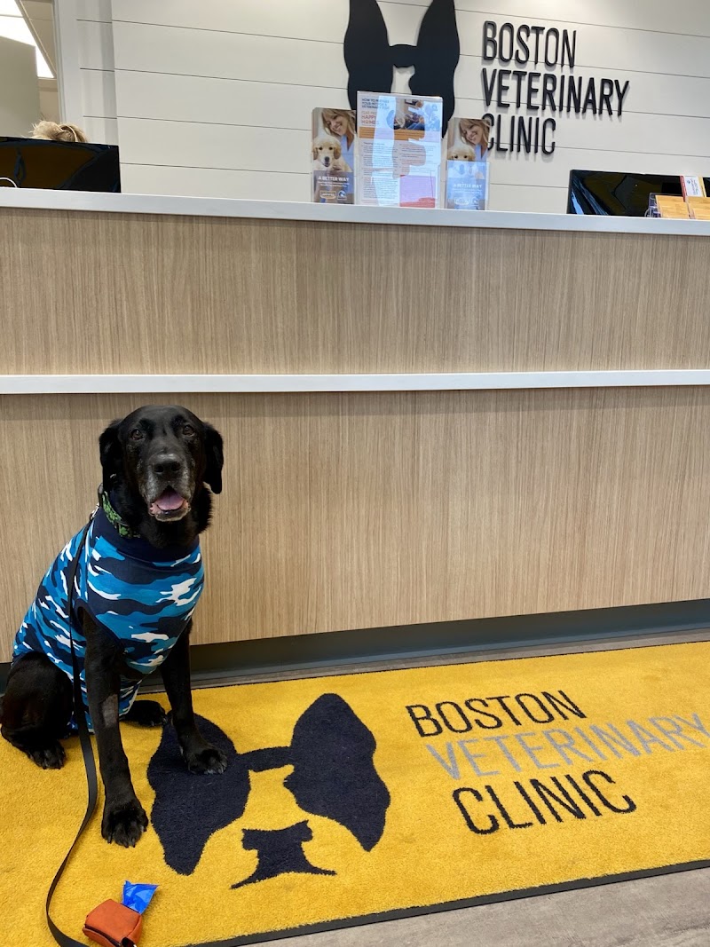 Boston Veterinary Clinic