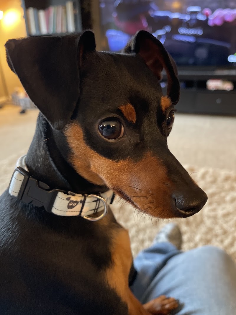 Emergency Veterinary Clinic of Tualatin