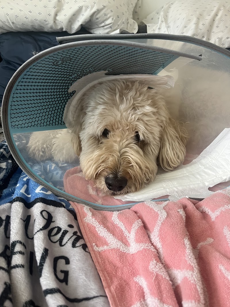 Emergency Veterinary Clinic of Tualatin