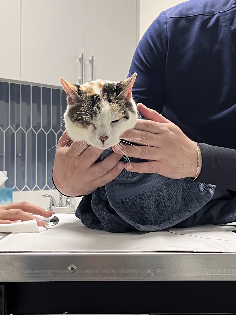 Veterinary Eye Center of New York City (Long Island City)