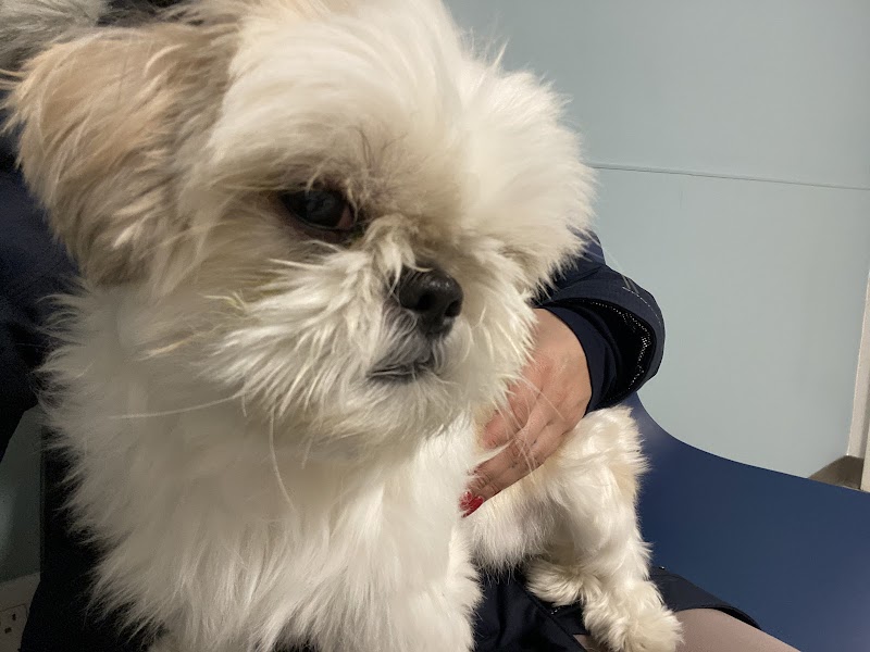 Veterinary Eye Center of New York City (Long Island City)