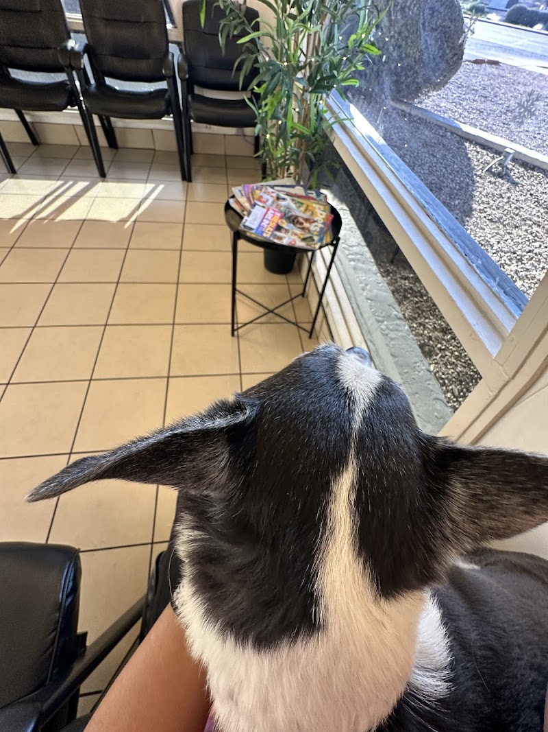 West Phoenix Veterinary Hospital