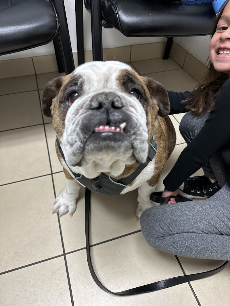 West Phoenix Veterinary Hospital