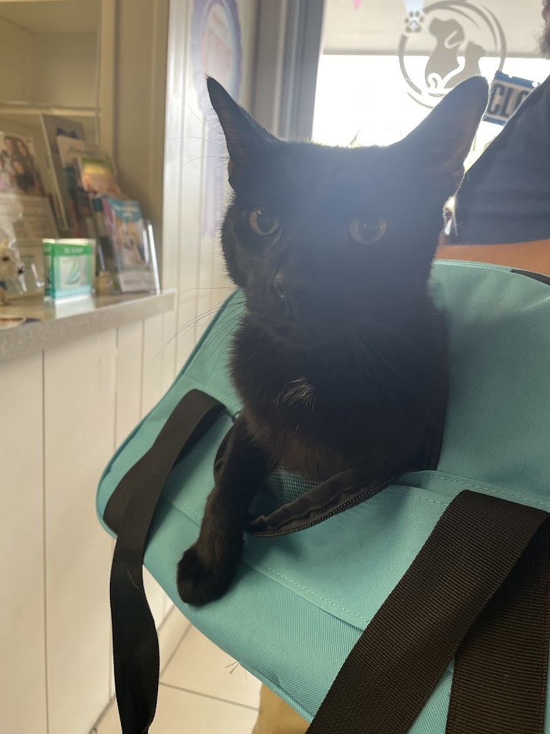 West Phoenix Veterinary Hospital
