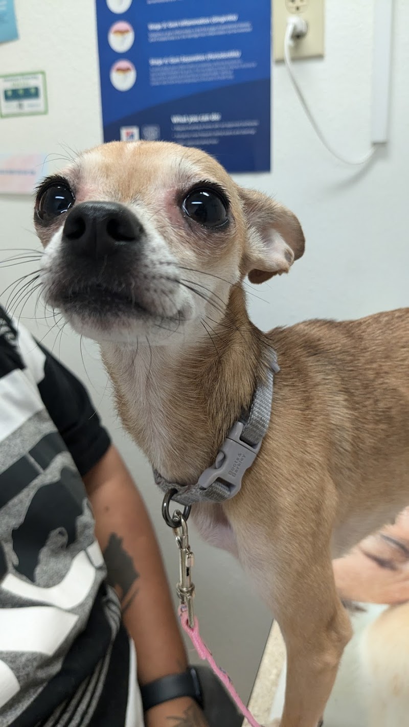 West Phoenix Veterinary Hospital